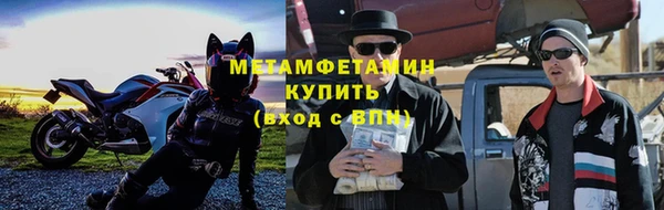 крисы Горняк