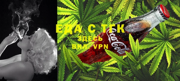 крисы Горняк