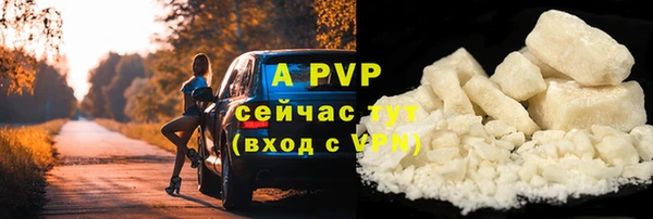 крисы Горняк