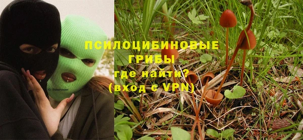 МДМА Горнозаводск